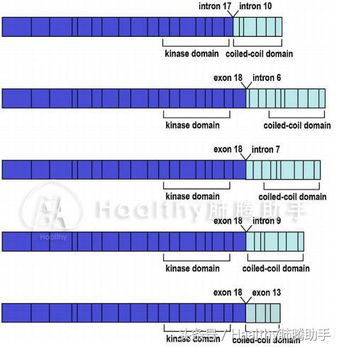 egfrtki一代和三代区别,三代egfrtki对比数据