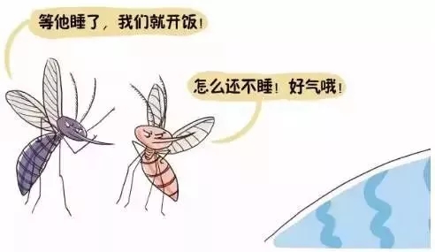 蚊子为什么咬o型血的人呢,蚊子咬人和o型血什么关系