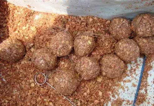 爆炸钩怎么上饵图解防挂底,爆炸钩钓法多久换饵为好