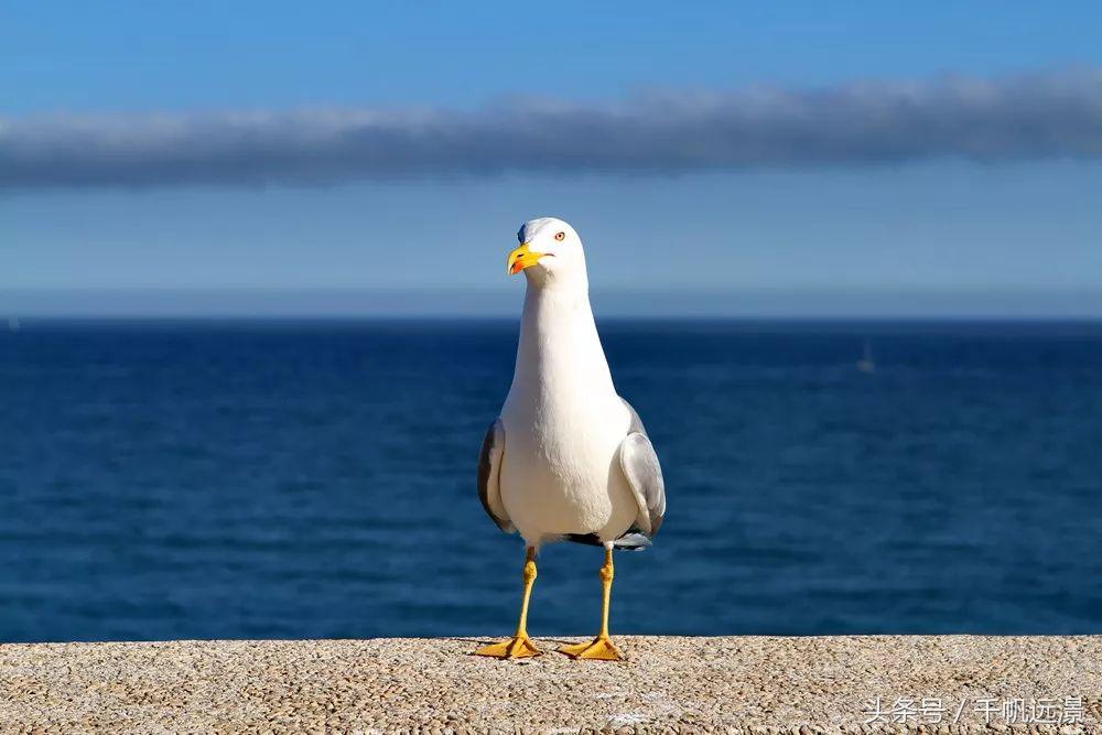 世界陆地面积第二个袖珍国家,国土面积最小且最穷的国家