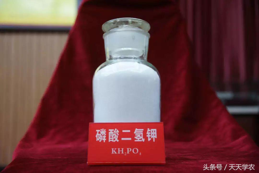 磷酸二氢钾掺假方法,假的磷酸二氢钾有肥效吗