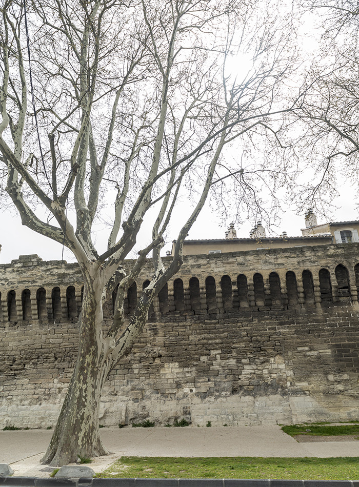 清明时节游法兰西赏历史文化之四：阿维尼翁