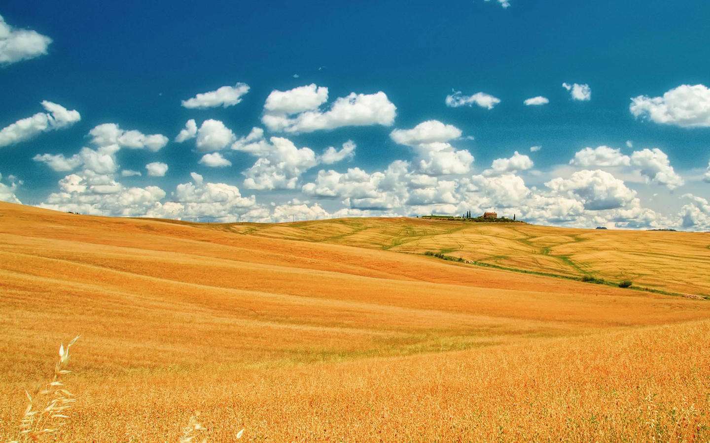 中国城建最好十大城市排行榜,大理城建vs玉溪城建