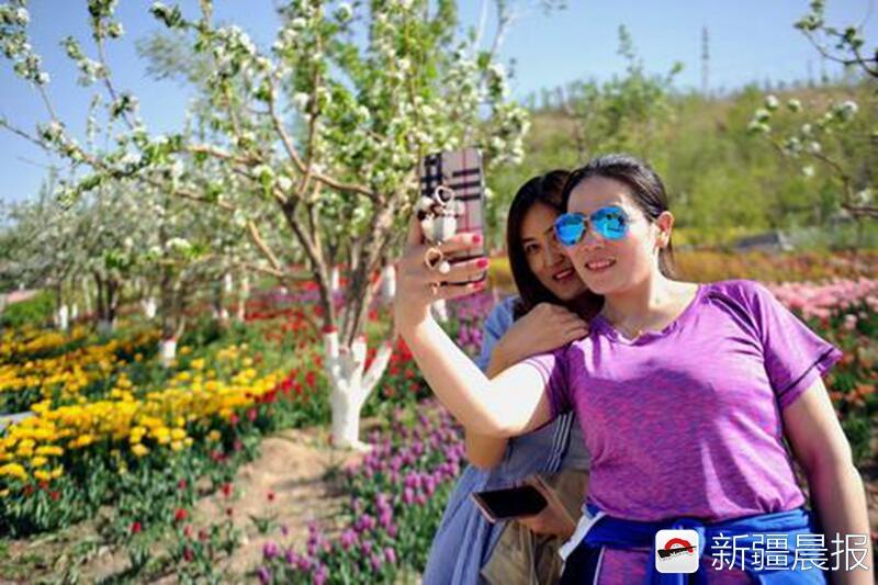 晨看*疆新**｜五一高速小型客车免费通行，*疆新**4300吨铁路桥转体对接