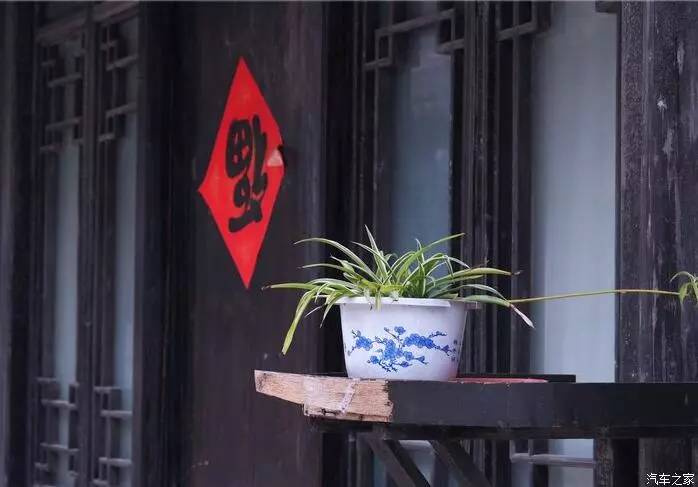 江浙寻花事,东南dx3自驾游