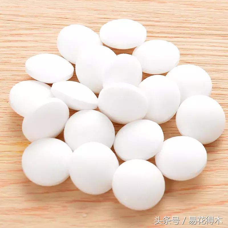 春季花草怎么防飞虫,春季怎么去花的小飞虫