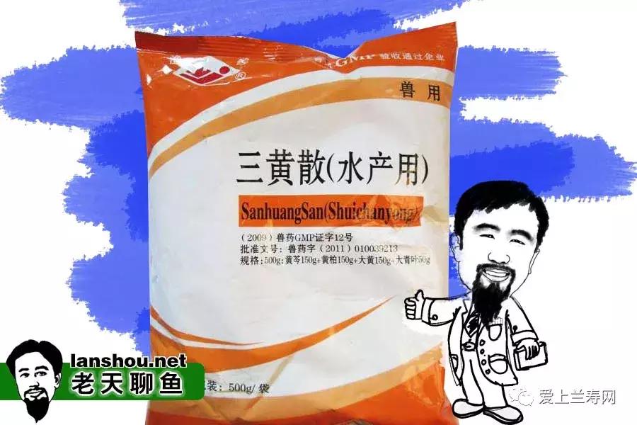 金鱼的鱼饵怎么做,金鱼最喜欢吃的鱼饵怎么做