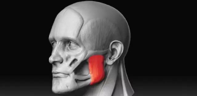 瘦脸针真有那么神奇吗,瘦脸针bbc