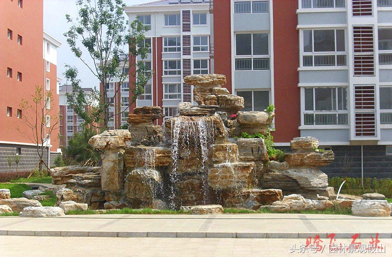 多肉滴水观音养殖方法,滴水观音盆景养殖方法