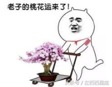 如果避开了桃花劫会怎样,一招解决桃花劫