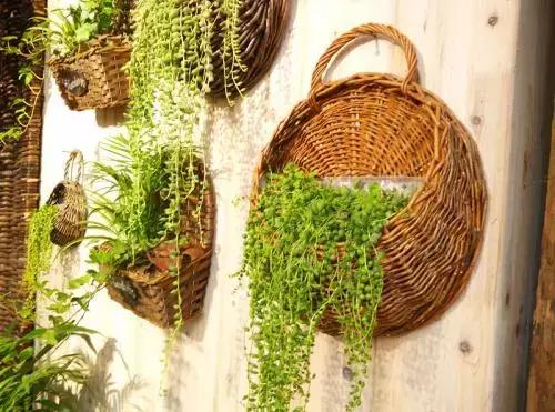 花篮里的花可以直接放土养,怎么在花园里种花