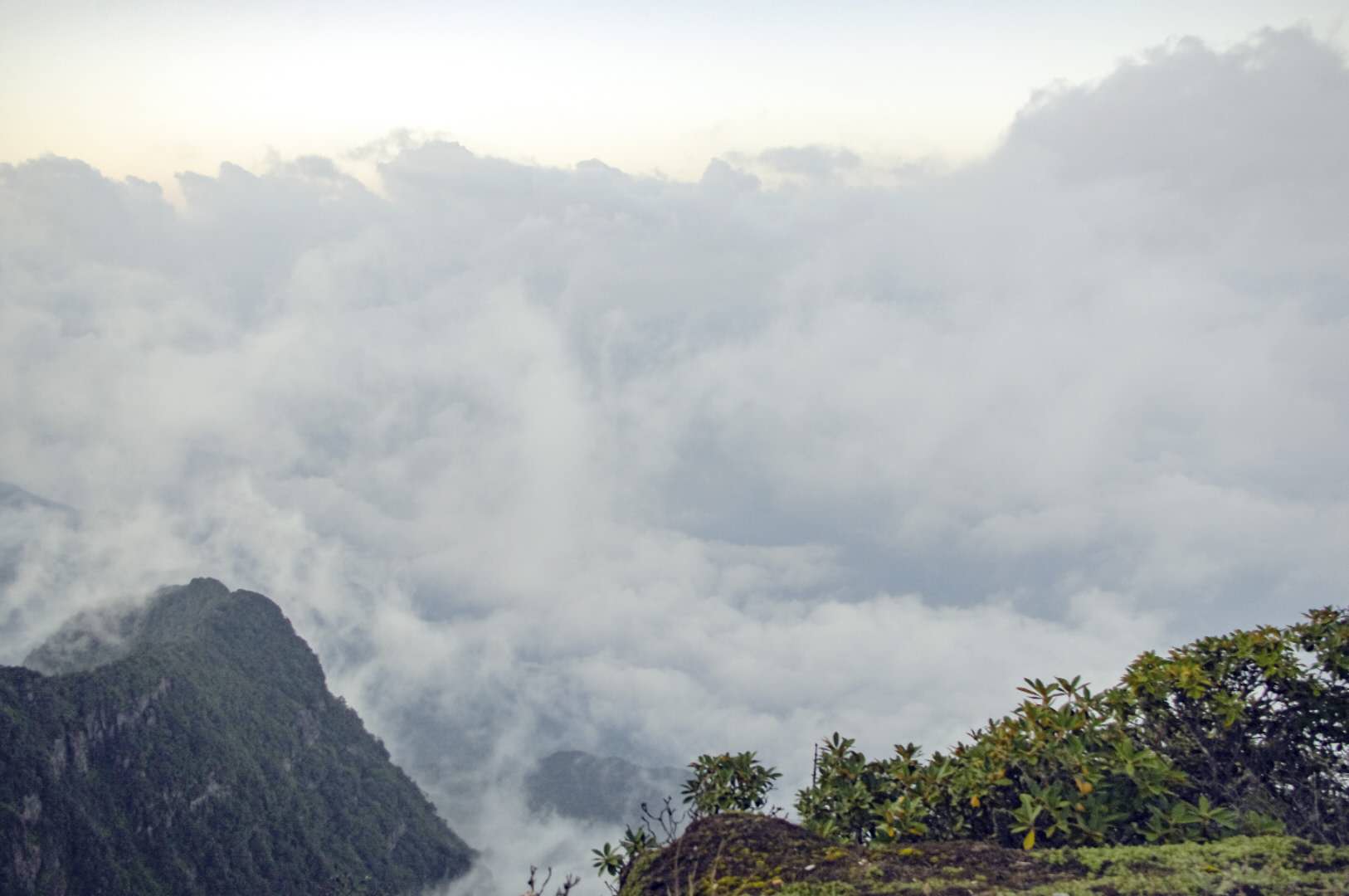 乐山金口河大峡谷一日游最佳路线,乐山金口河大瓦山湿地公园