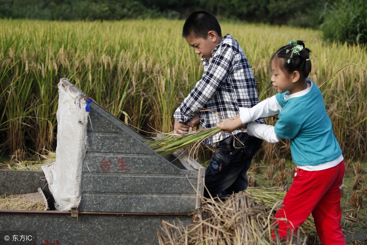 儿童受风起疙瘩还能出去玩吗,儿童出去玩吹风感冒了
