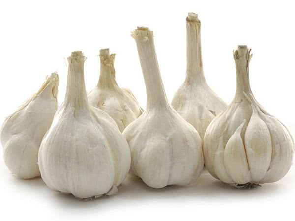 地沟油能使大蒜变色吗,用大蒜测试地沟油可以吗