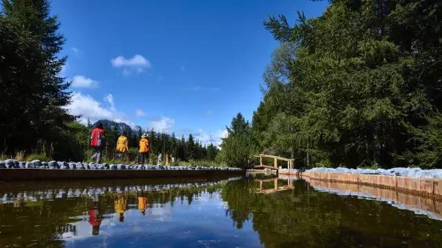 五一游玩小短文一年级,五一游玩的小短文50字