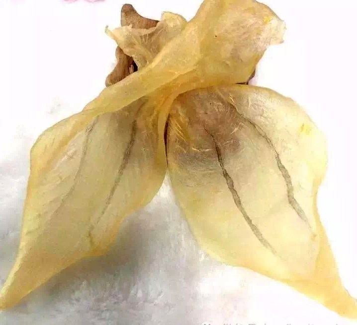 花胶如何去腥放什么东西炖制,花胶炖鸡为啥花胶有腥味