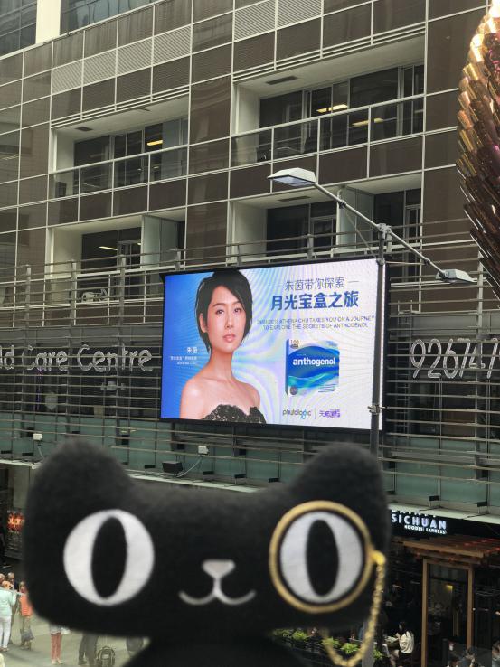 穿越澳洲小说,穿越澳大利亚视频