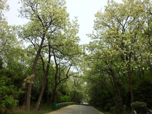 西安周边城市绝美景色旅游地点,西安出发五一4天自驾游路线推荐
