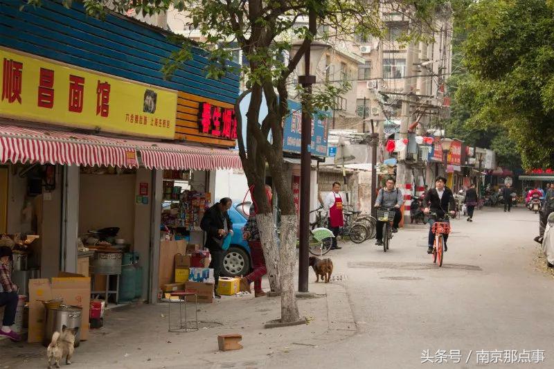 南京师大紫金校区,南师紫金