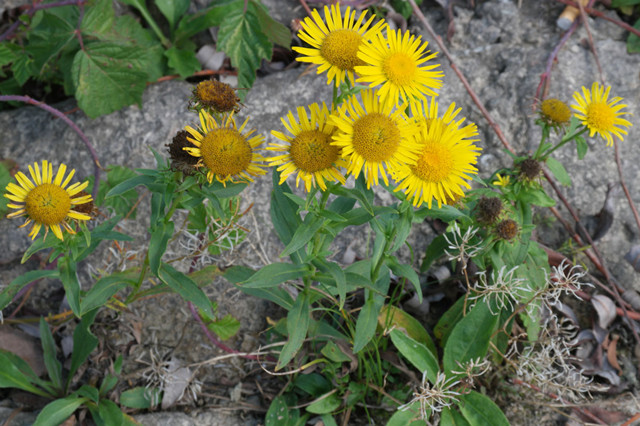 治疗胃食管反流病的首选用药,胃食管反流病怎么治看这篇就够了