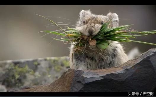 假期一定要给孩子看的20部纪录片,12部适合和孩子一起看的纪录片