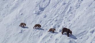 假期一定要给孩子看的20部纪录片,12部适合和孩子一起看的纪录片