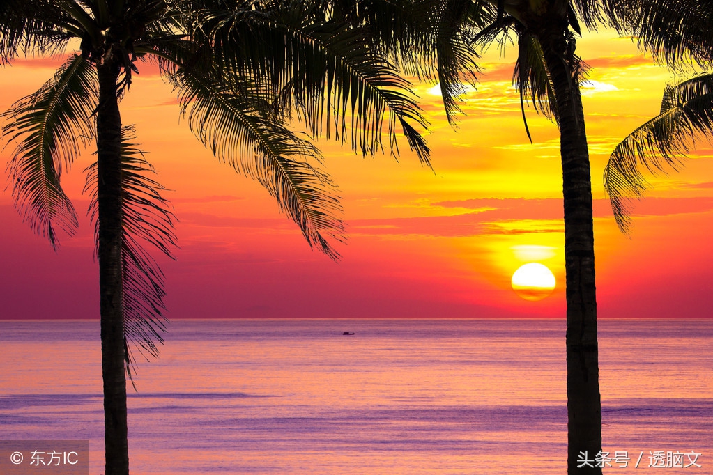 十大网红歌曲伤感情歌,抖音最火十大网红歌曲