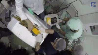 3D打印技术助力先进制造,3d打印帮助动物