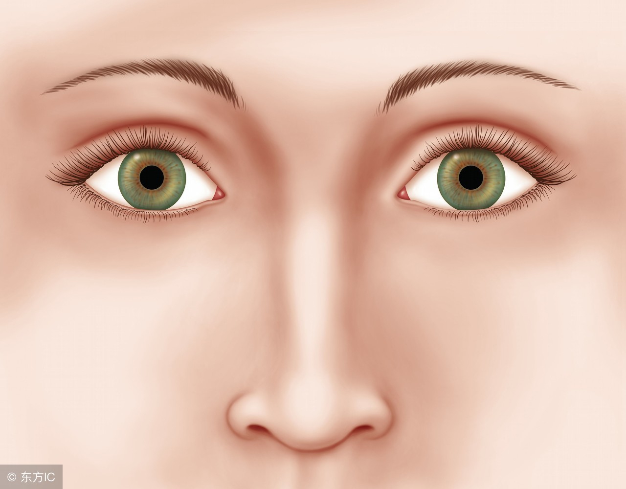 让鼻子变小变挺的方法,怎样才能让鼻子变小呢