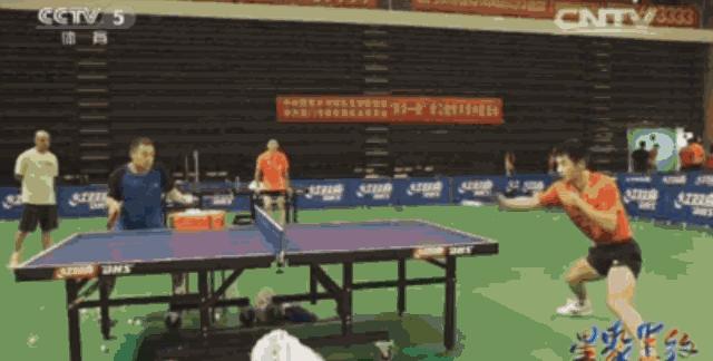 资深球迷深度解析,乒乓球打球解析