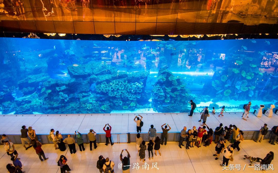 阿拉伯人在沙漠的生活,阿拉伯人在沙漠旅行