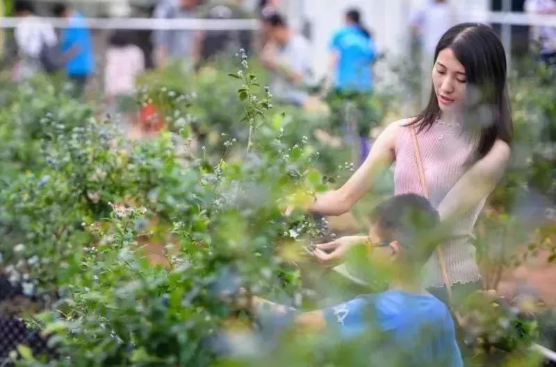 五一朝天旅游,踏青出游五一小长假怎么玩