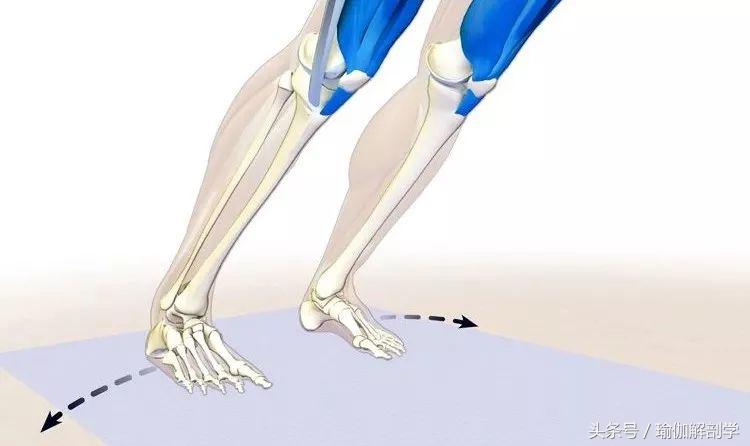 下犬式瑜伽怎么练,怎么做好瑜伽下犬式