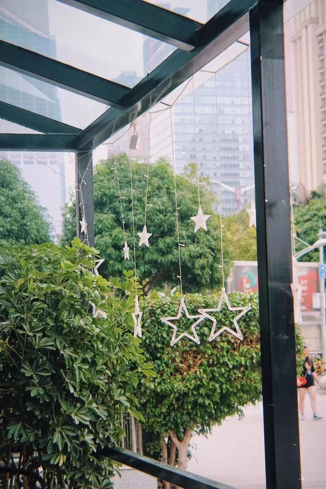 广西网红茶,爆款网红茶