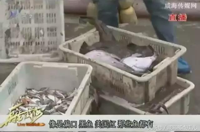 威海封海海鲜,威海封海时间禁止卖哪些海鲜