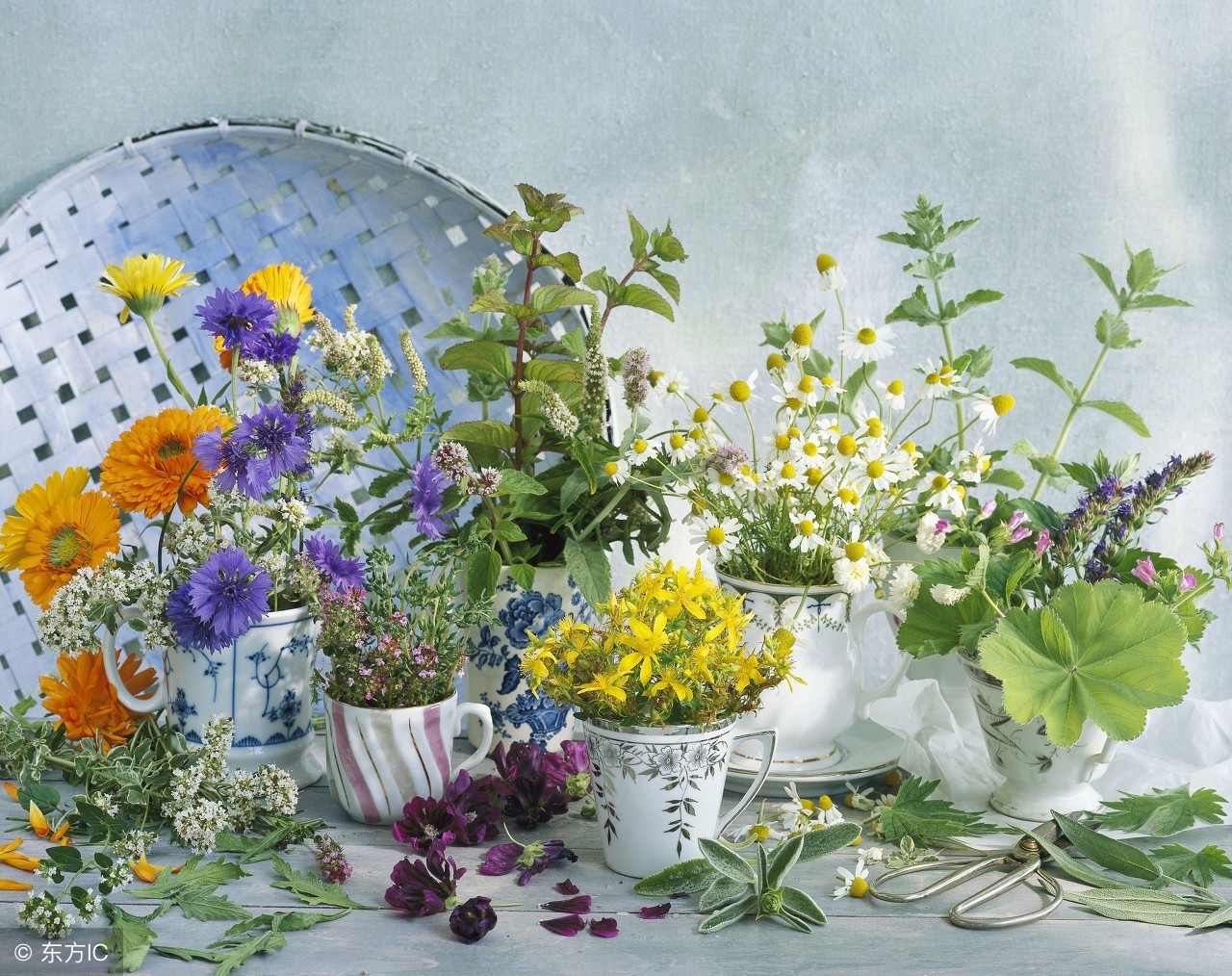 林清玄经典散文清欢原文,林清玄经典散文9篇分享给大家