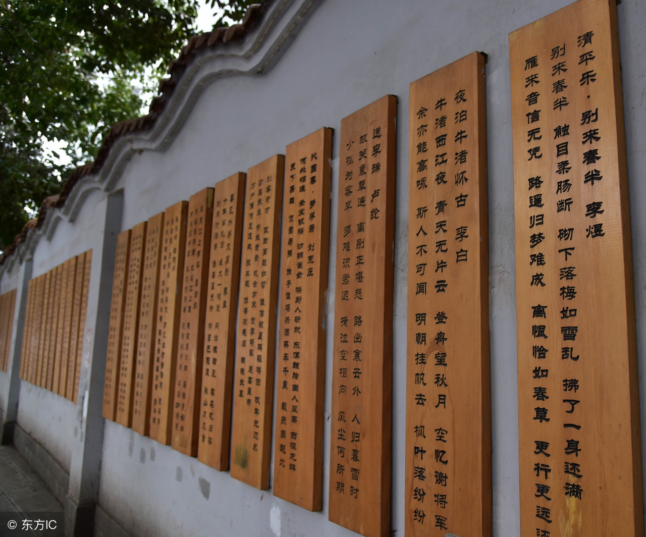 古人人生哲理诗句,有哲理的经典诗句解读