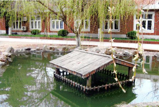 三江学院要搬了！再见！龙西路10号！