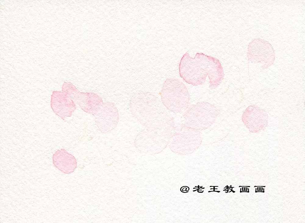 桃花桃树用彩铅怎么画,三年级简单画桃花彩铅