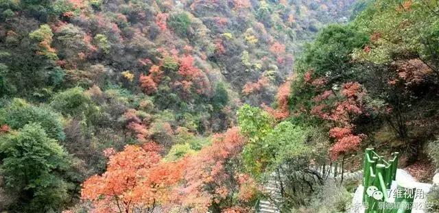 河南警官证免费景区,河北省哪些景区使用警官证免费