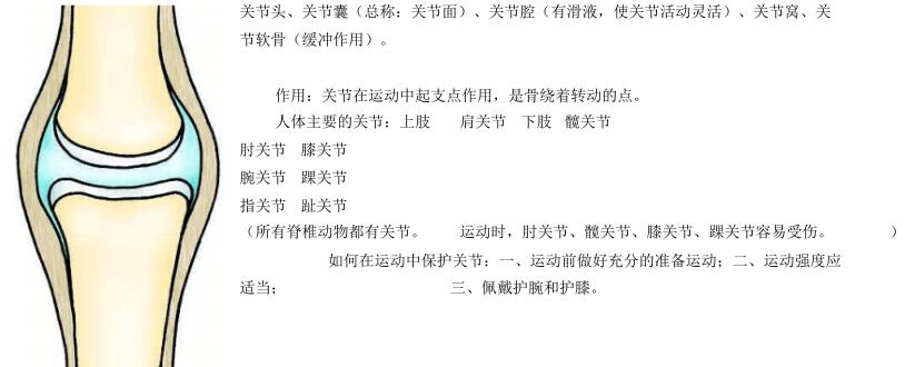 北师大版生物中考必背知识点,苏教版生物中考知识点总结填空版