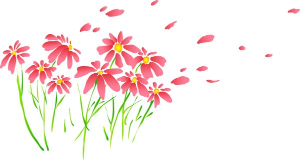 小学开学啦元气满满迎接新学期,开学了同学们都很热情