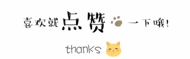 聚焦融交会｜华博创意：跨界融合创造智慧生活