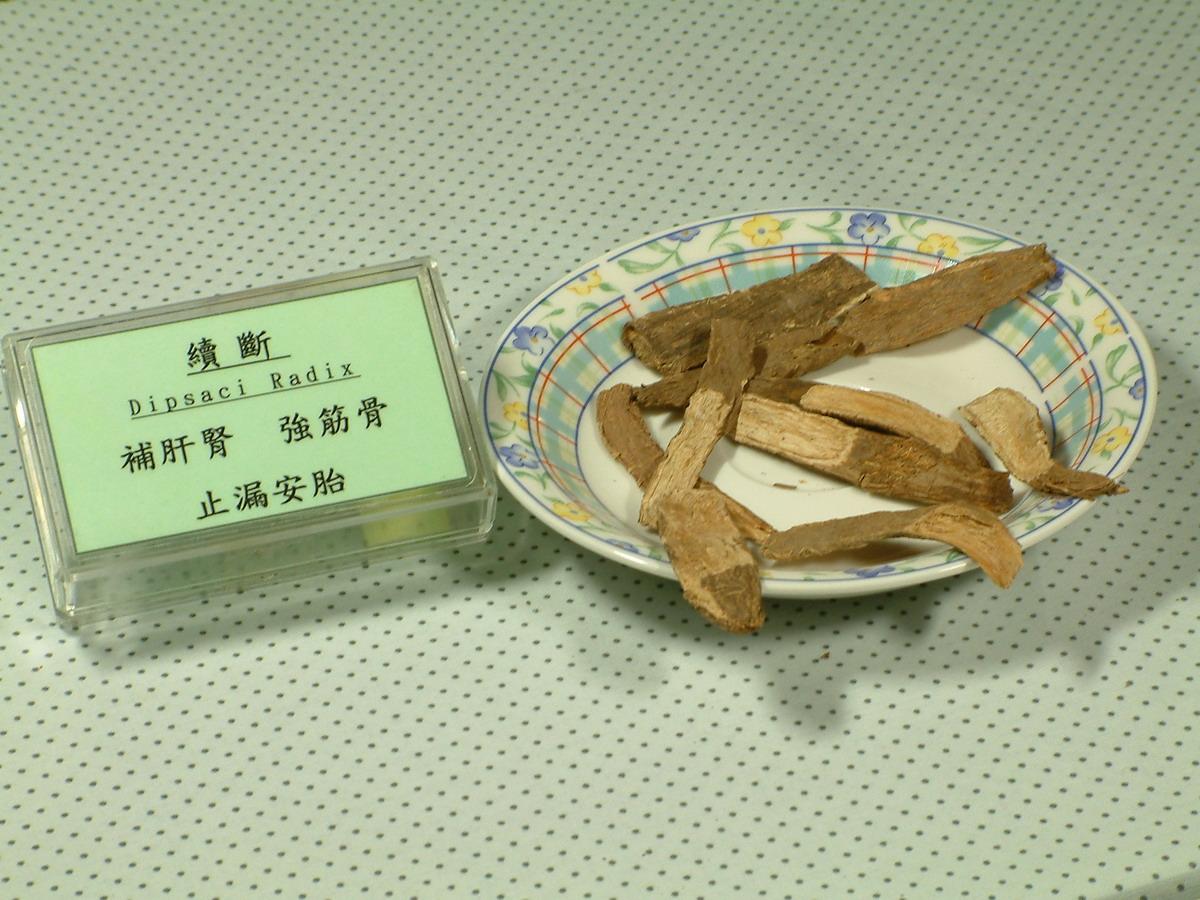 《神农本草经》:“续断”强筋骨、续折伤、止崩漏,建议收藏