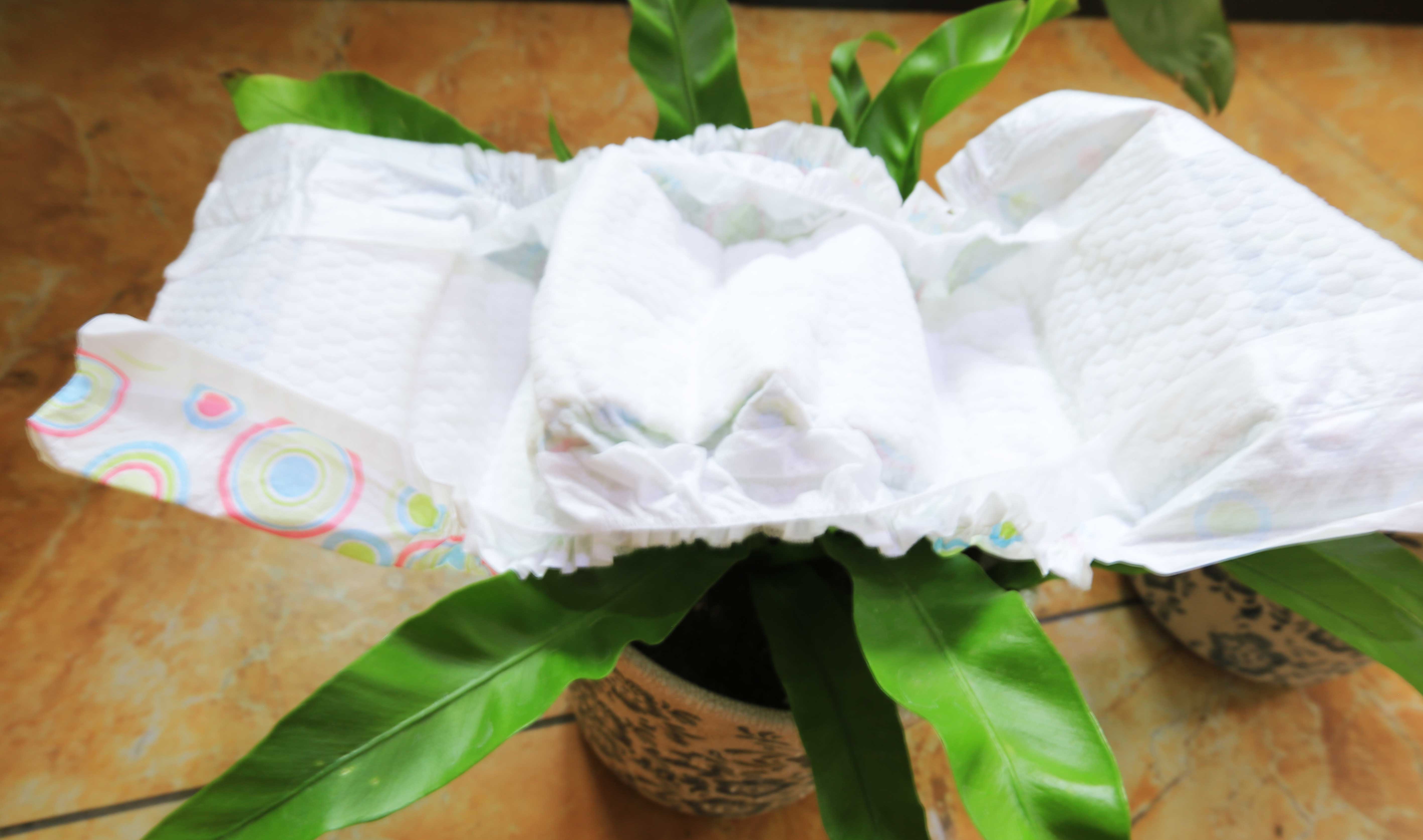 纸尿片纸尿裤,纸尿裤尿片拉拉裤初生婴儿怎么选