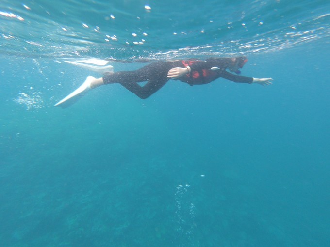 帕劳的海景风光给人美的享受,帕劳的海洋和沙滩风景图片