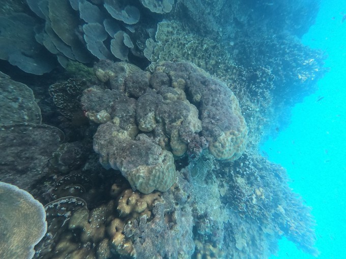 帕劳的海景风光给人美的享受,帕劳的海洋和沙滩风景图片