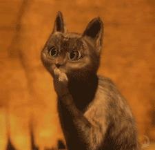 *裤内**多久换洗一次?多久换一次新的?这些健康知识你都知道吗