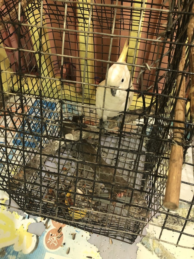 帕劳的海景风光给人美的享受,帕劳的海洋和沙滩风景图片