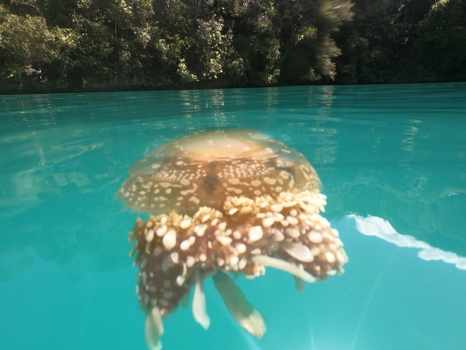 帕劳的海景风光给人美的享受,帕劳的海洋和沙滩风景图片